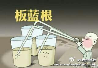 中草药板蓝根能治疗什么病,中草药板蓝根图片大全