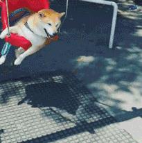 南锣游玩攻略,南锣美食之旅