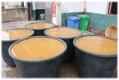 老司机快上车方法,老司机是如何收割水稻的