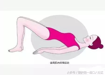 锻炼括约肌的动作,括约肌锻炼动作图解