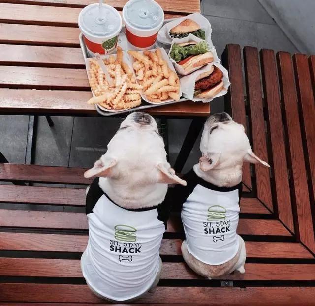 牛牛很挑食,牛牛爱挑食怎么弄