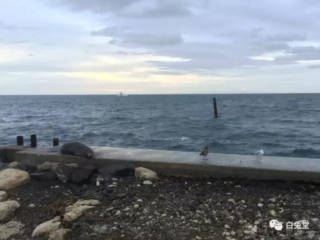 「白兔堂」可能只有不到10%的游客在澳洲玩到了这些!你玩对了吗?