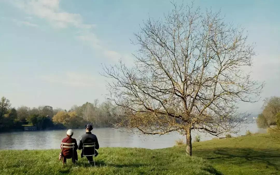 关于2015年十佳电影,2017电影排行榜前十