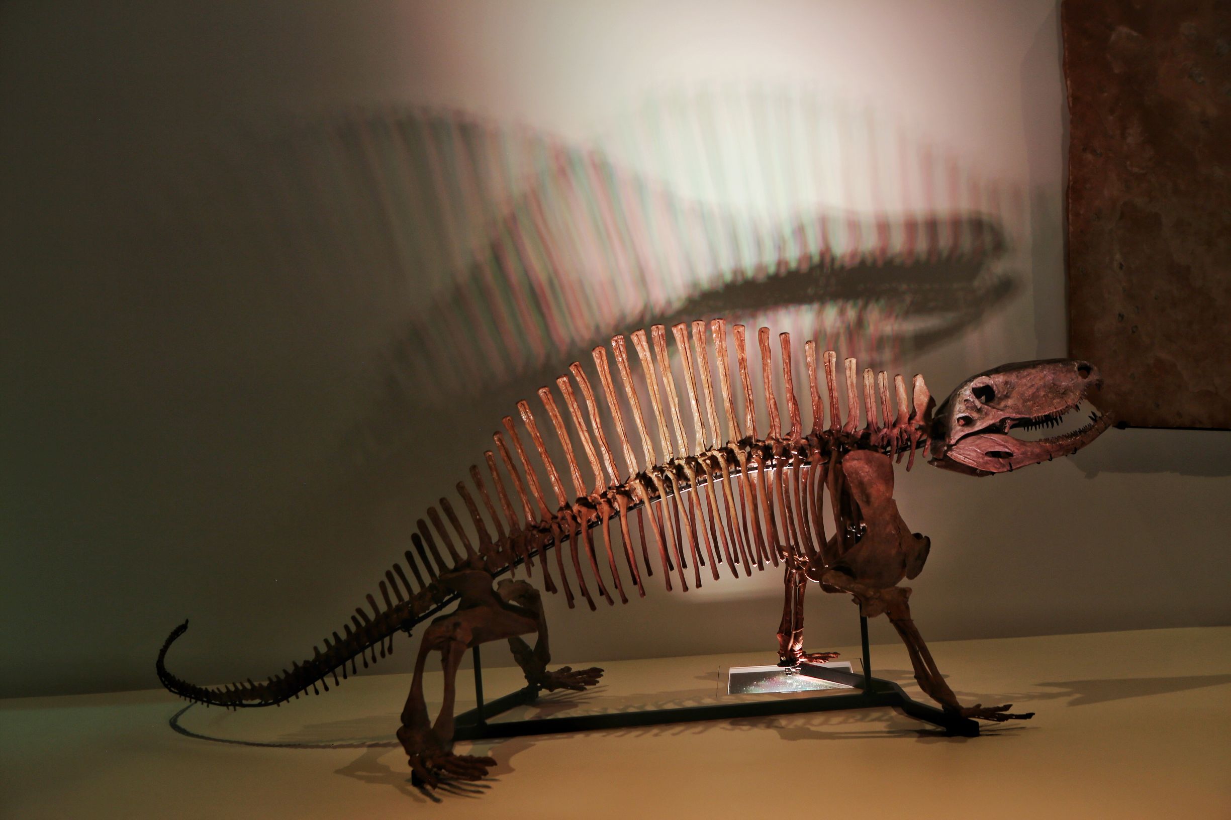 美国休斯顿：不只有火箭，看看这座城市有多强大