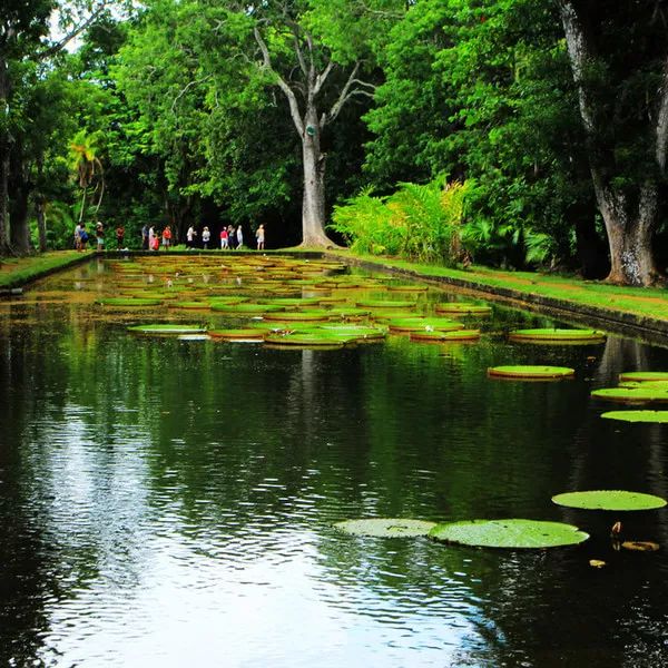 伊甸园免签景点在哪个城市,伊甸园免签的景点在哪里