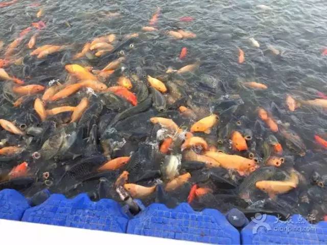 沈阳游玩攻略两天一夜带孩子,沈阳周末游玩好去处