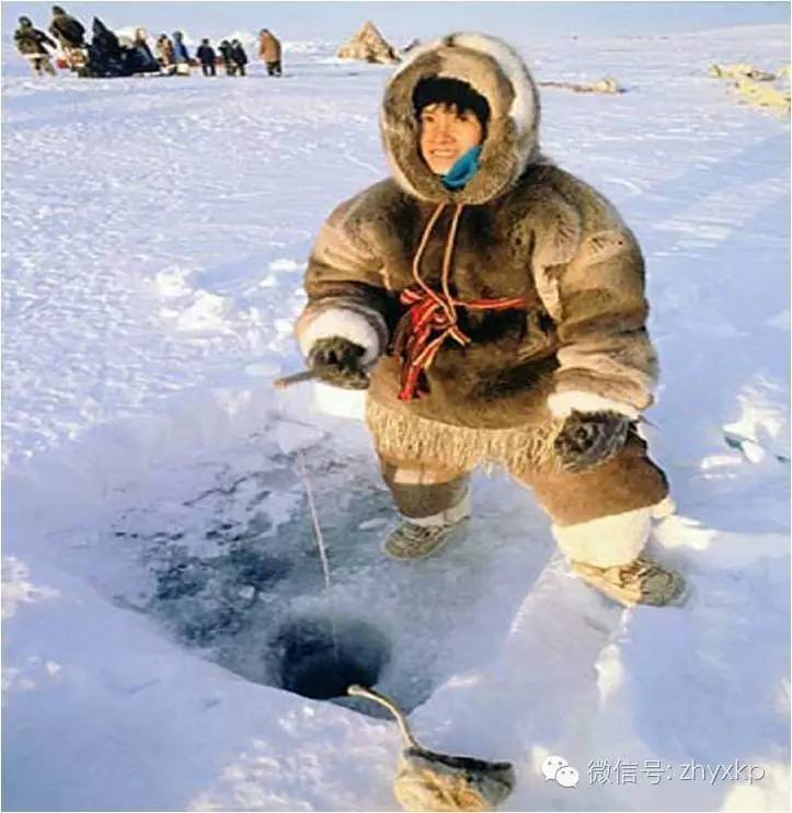鱼油真的能降血脂吗,鱼油怎么挑选降血脂