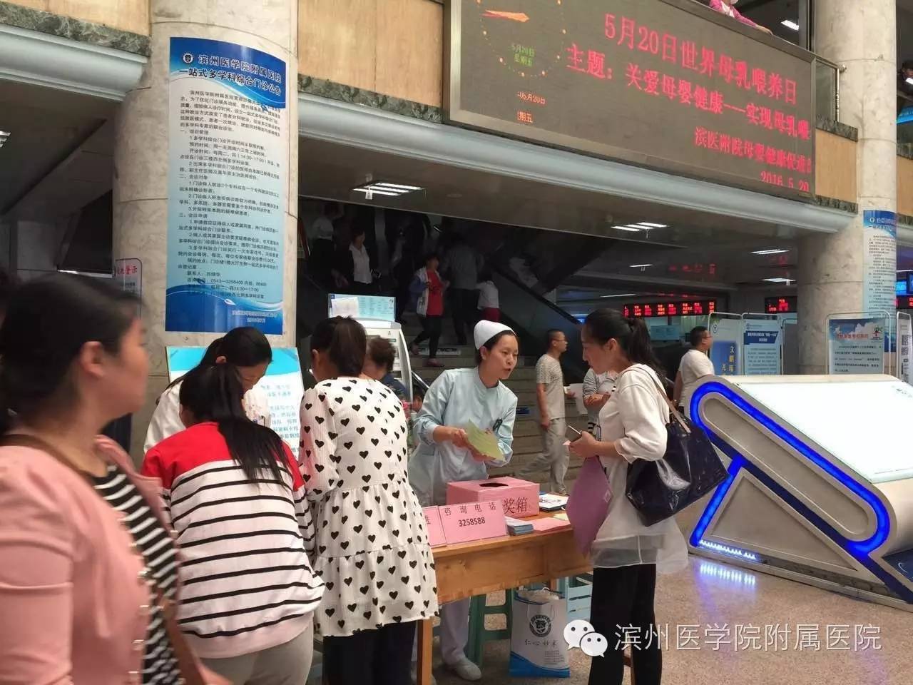 公益路上不断努力,公益捐狗粮