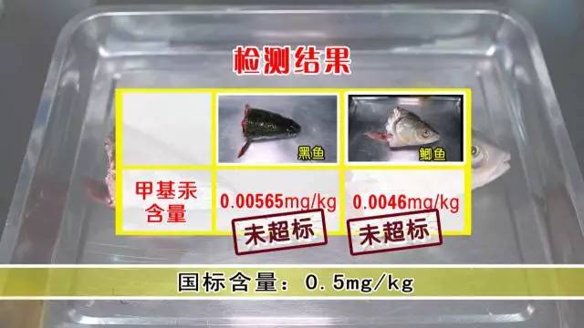 蛇鞭可以补肾吗,蛇鞭真能补肾吗