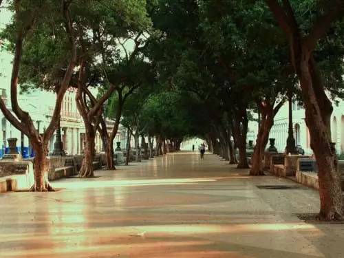 马德里的正确打开方式¡HalaMadrid！