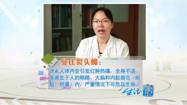 蛇鞭可以补肾吗,蛇鞭真能补肾吗