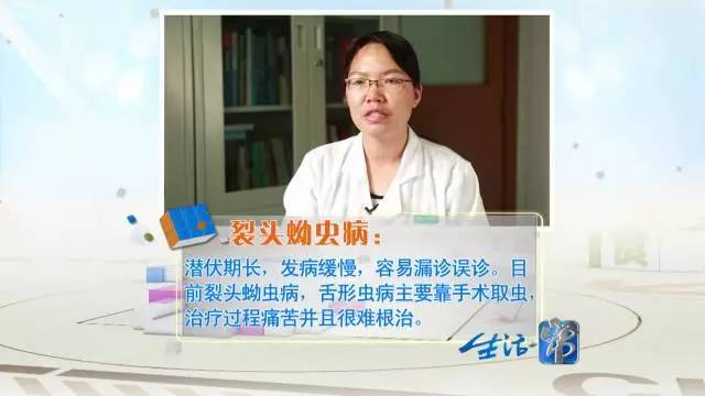 蛇鞭可以补肾吗,蛇鞭真能补肾吗