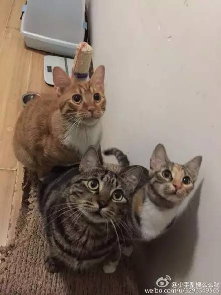 走到流浪的尽头，落入你的温暖怀抱