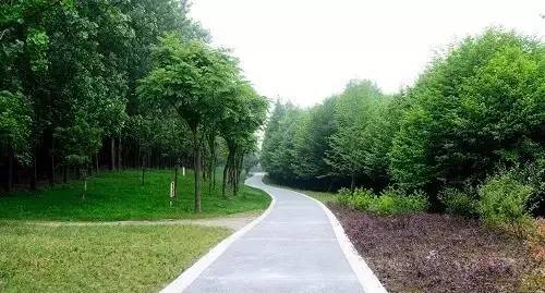 杭州玩一天怎样安排行程,在杭州玩两天攻略怎么做