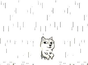 猴年马月到底有多可怕,猴年马月真的来吗