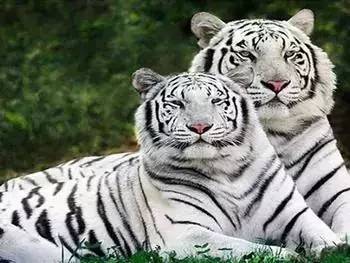 沈阳游玩攻略两天一夜带孩子,沈阳周末游玩好去处