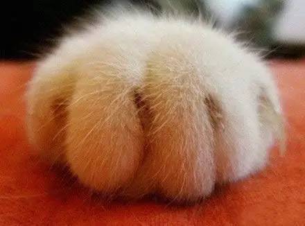 走到流浪的尽头，落入你的温暖怀抱