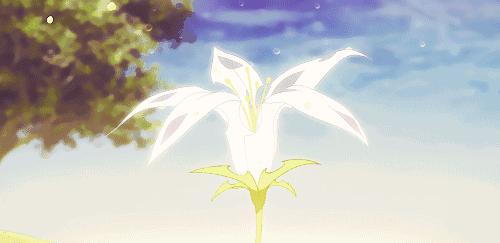 开店日记创作,开店日记第一篇