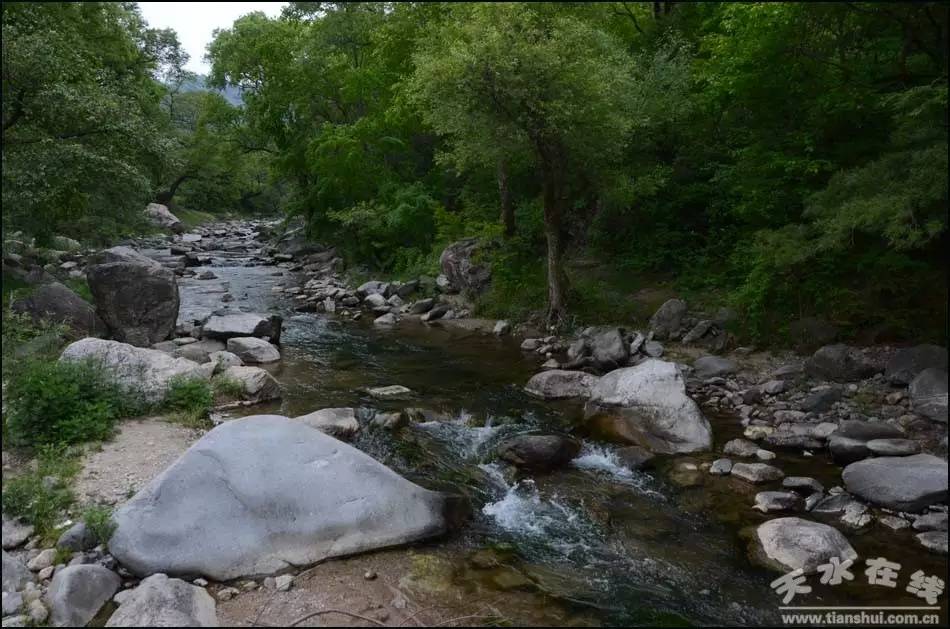 天水市国家级美丽乡村建设,天水市最美乡村名录图片