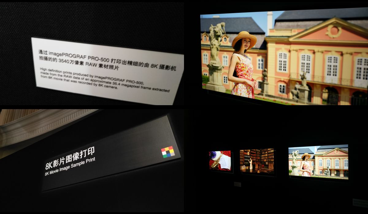 除了佳能6d还有什么全画幅便宜机,佳能相机像素一览表