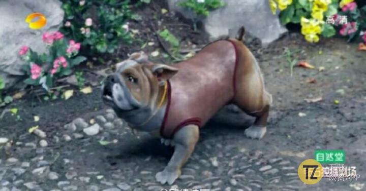 仙剑五为什么做得比仙剑四烂,无胡歌不仙剑什么梗