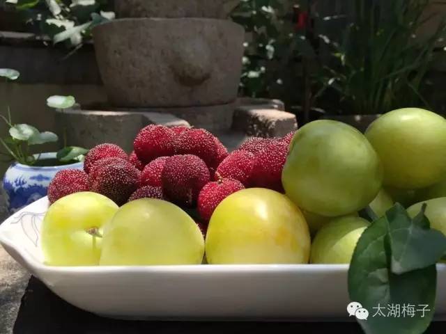 绿荫幽草胜花时的图片,绿荫幽草胜花香的前一句