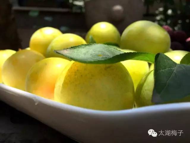 绿荫幽草胜花时的图片,绿荫幽草胜花香的前一句