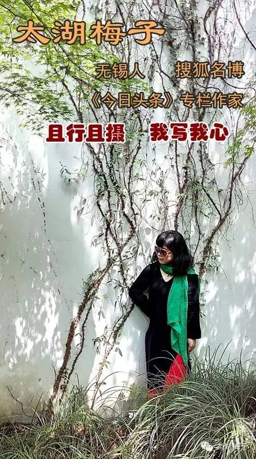 绿荫幽草胜花时的图片,绿荫幽草胜花香的前一句