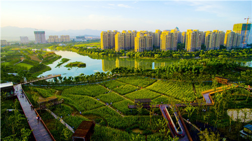 城市双修是什么,城市双修纪实