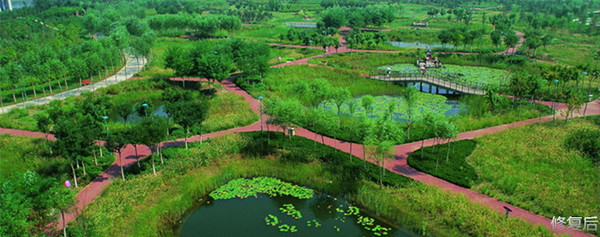 城市双修是什么,城市双修纪实