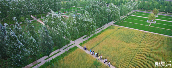 城市双修是什么,城市双修纪实