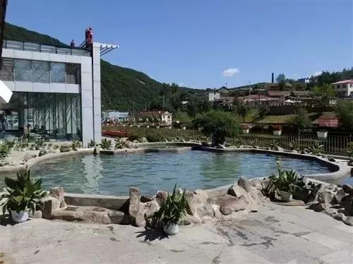 夏日乐悠最新视频,夏日乐悠游