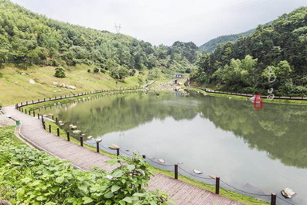养在深闺里无人知,养在深闺无人识全文