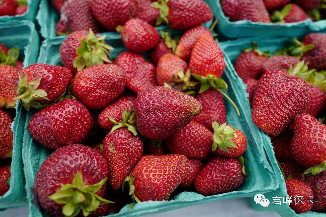 徕卡一万元街拍机,徕卡q一代为什么那么贵