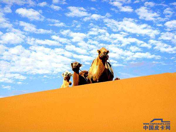 六月去哪HIGH?相约乌海金沙湾！