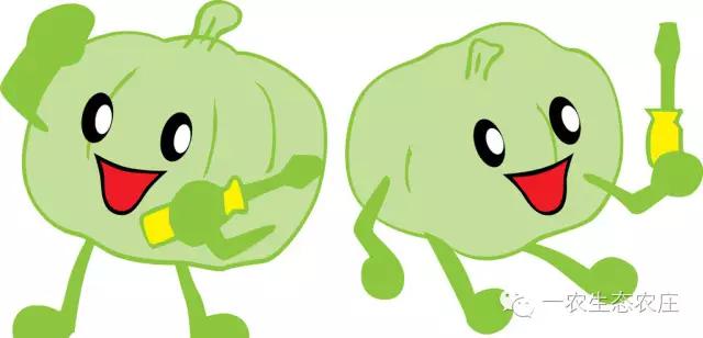 一农生态农庄“有机圆青椒”即将上架供应