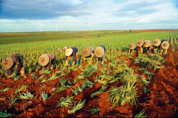 寰愰椈鑿犺悵浜嬩欢,寰愰椈鑿犺悵浜嬩欢瑙ｆ瀽