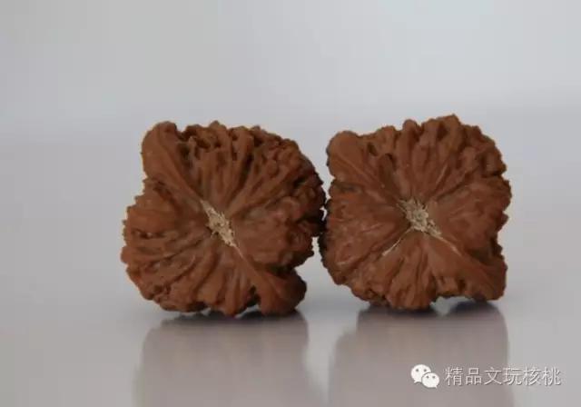 文玩核桃尾脐图案,文玩核桃尾脐特别硬