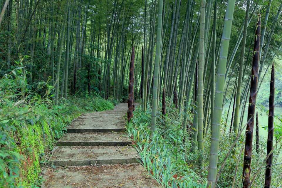 爱旅游爱生活幸福快乐每一天,爱旅游爱生活爱阅读