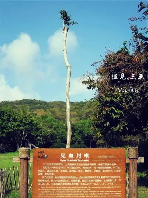 三亚远山大海蓝天白云,爱在三亚拉丁舞