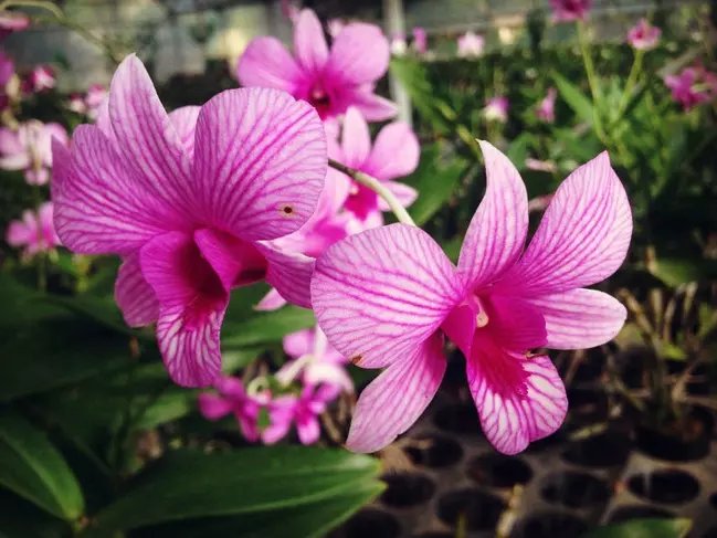 三亚远山大海蓝天白云,爱在三亚拉丁舞