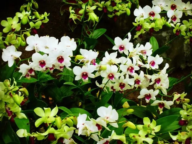 三亚远山大海蓝天白云,爱在三亚拉丁舞