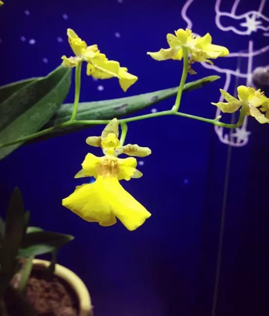 三亚远山大海蓝天白云,爱在三亚拉丁舞