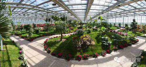 天津滨海新区亲子游玩好去处,天津滨海新区游玩好去处