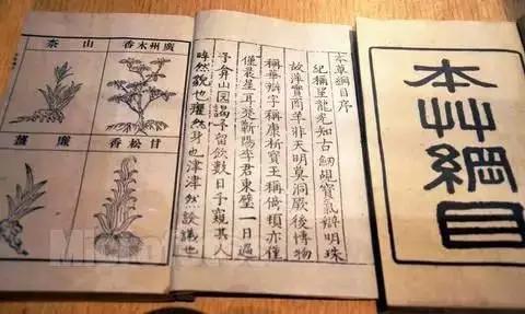 布偶猫好不好吃,大蓝猫好吃吗