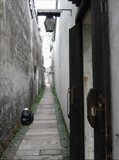 相机拍照如何去除彩色的斑点,摄影后期去除图片的白边