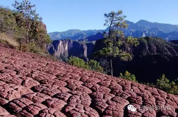 云南纳木错国家公园,云南昆明发现一个超大好玩的公园