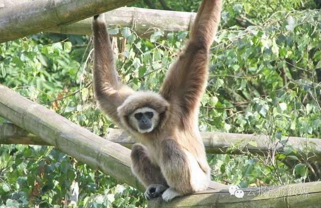 云南纳木错国家公园,云南昆明发现一个超大好玩的公园