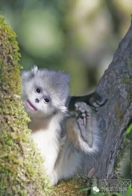 云南纳木错国家公园,云南昆明发现一个超大好玩的公园