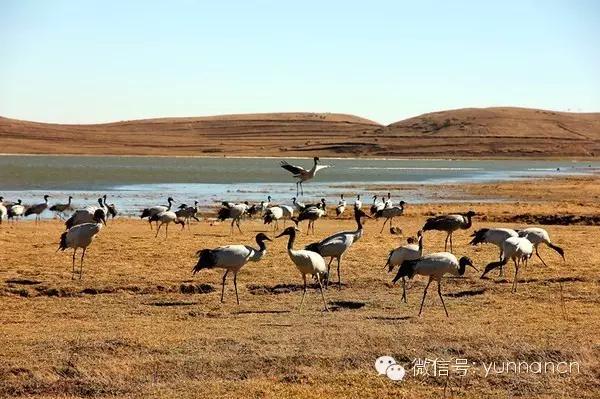 云南纳木错国家公园,云南昆明发现一个超大好玩的公园